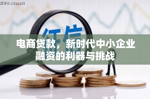 长洲电商贷款，新时代中小企业融资的利器与挑战