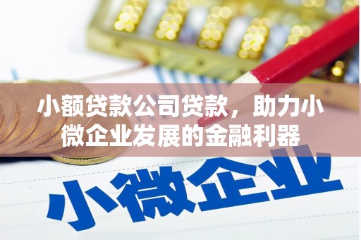 长洲小额贷款公司贷款，助力小微企业发展的金融利器