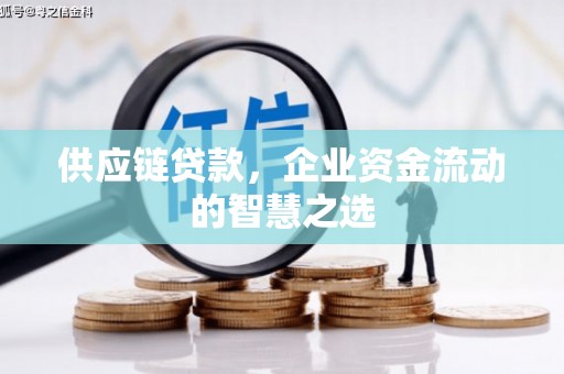 长洲供应链贷款，企业资金流动的智慧之选