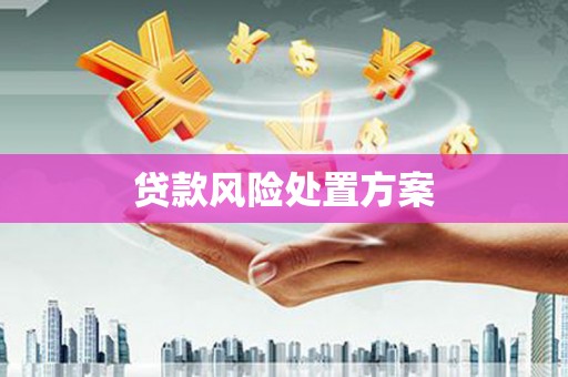 长洲贷款风险处置方案