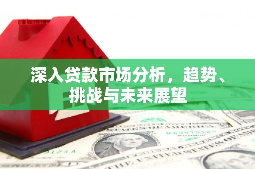 长洲深入贷款市场分析，趋势、挑战与未来展望