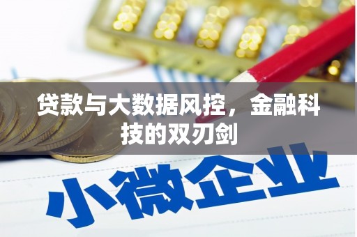长洲贷款与大数据风控，金融科技的双刃剑