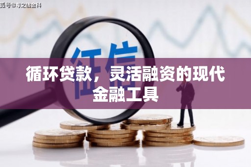 长洲循环贷款，灵活融资的现代金融工具