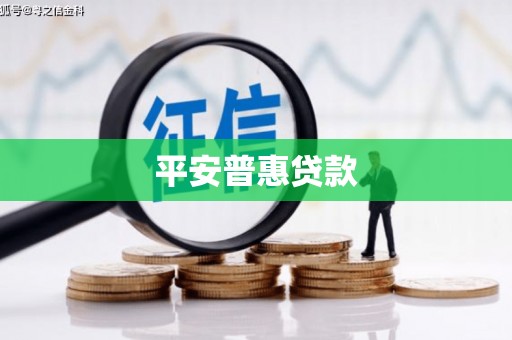 长洲平安普惠贷款