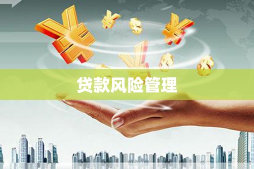 长洲贷款风险管理