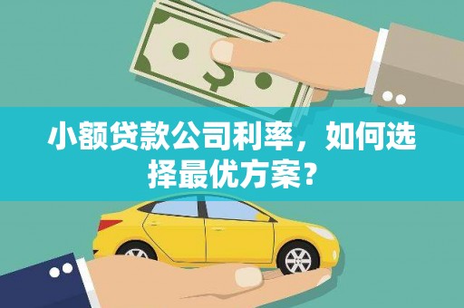 长洲小额贷款公司利率，如何选择最优方案？