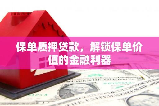 长洲保单质押贷款，解锁保单价值的金融利器