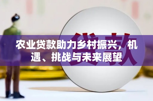 长洲农业贷款助力乡村振兴，机遇、挑战与未来展望