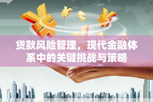 长洲贷款风险管理，现代金融体系中的关键挑战与策略