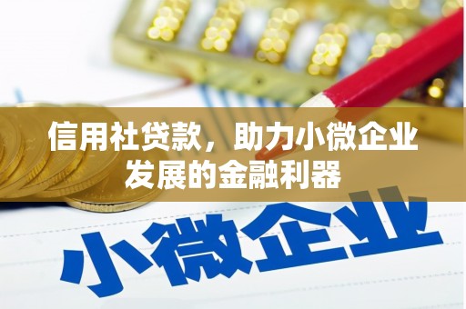 长洲信用社贷款，助力小微企业发展的金融利器