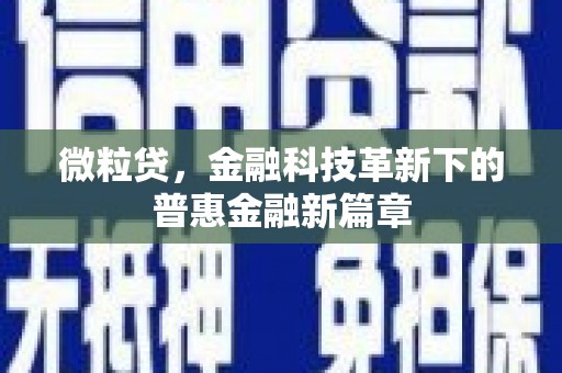 长洲微粒贷，金融科技革新下的普惠金融新篇章