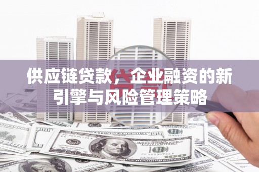长洲供应链贷款，企业融资的新引擎与风险管理策略