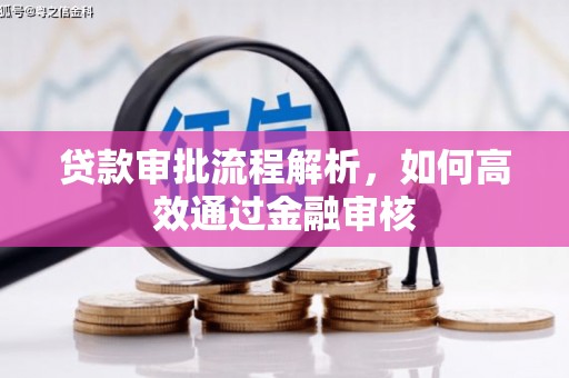 长洲贷款审批流程解析，如何高效通过金融审核