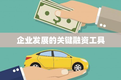 长洲企业发展的关键融资工具