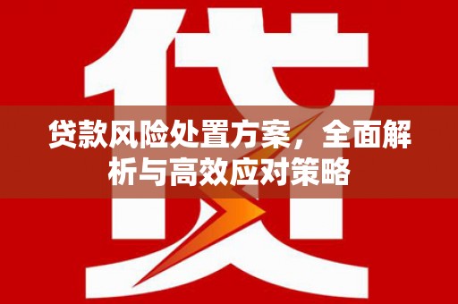 长洲贷款风险处置方案，全面解析与高效应对策略
