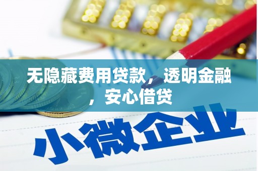 长洲无隐藏费用贷款，透明金融，安心借贷