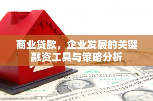 长洲商业贷款，企业发展的关键融资工具与策略分析
