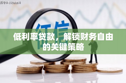 长洲低利率贷款，解锁财务自由的关键策略