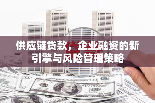 长洲供应链贷款，企业融资的新引擎与风险管理策略