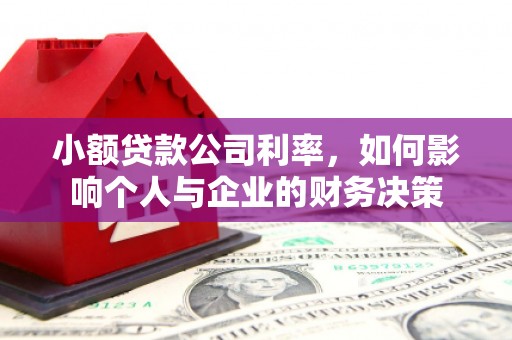 长洲小额贷款公司利率，如何影响个人与企业的财务决策