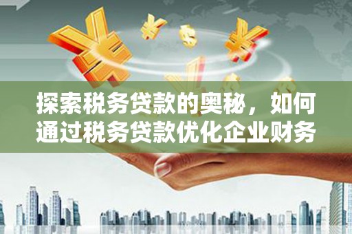 长洲探索税务贷款的奥秘，如何通过税务贷款优化企业财务