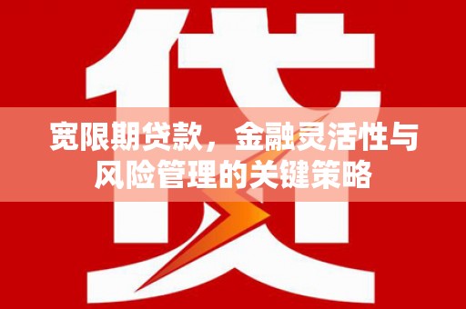 长洲宽限期贷款，金融灵活性与风险管理的关键策略