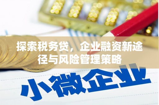 长洲探索税务贷，企业融资新途径与风险管理策略