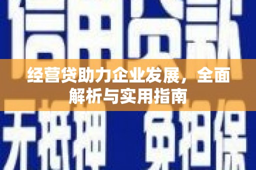 长洲经营贷助力企业发展，全面解析与实用指南