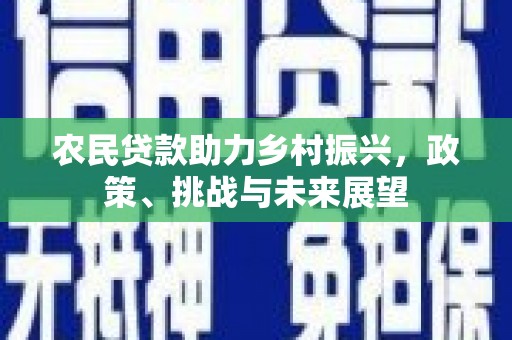 长洲农民贷款助力乡村振兴，政策、挑战与未来展望