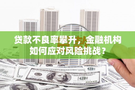 长洲贷款不良率攀升，金融机构如何应对风险挑战？