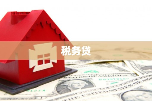 长洲税务贷