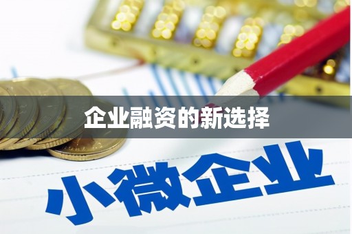 长洲企业融资的新选择