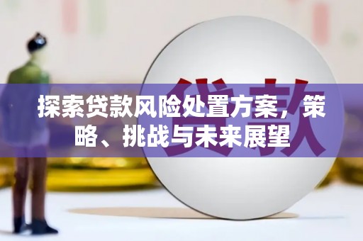 长洲探索贷款风险处置方案，策略、挑战与未来展望