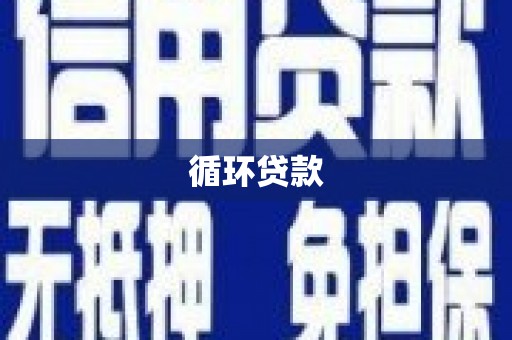 长洲循环贷款