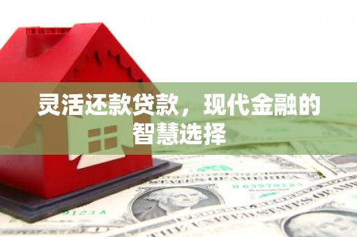 长洲灵活还款贷款，现代金融的智慧选择