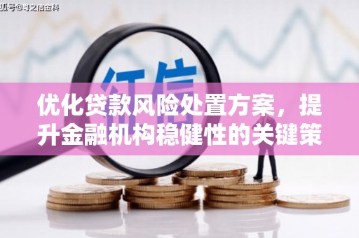 长洲优化贷款风险处置方案，提升金融机构稳健性的关键策略