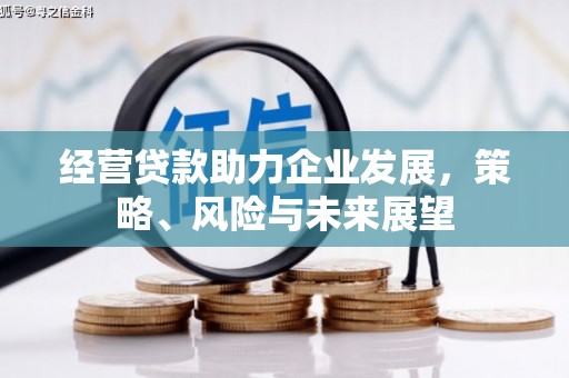 长洲经营贷款助力企业发展，策略、风险与未来展望
