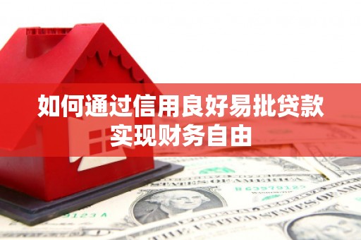 长洲如何通过信用良好易批贷款实现财务自由