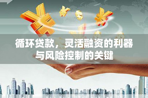 长洲循环贷款，灵活融资的利器与风险控制的关键