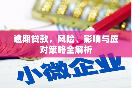 长洲逾期贷款，风险、影响与应对策略全解析