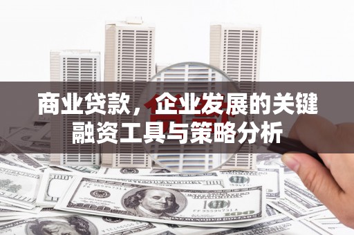 长洲商业贷款，企业发展的关键融资工具与策略分析