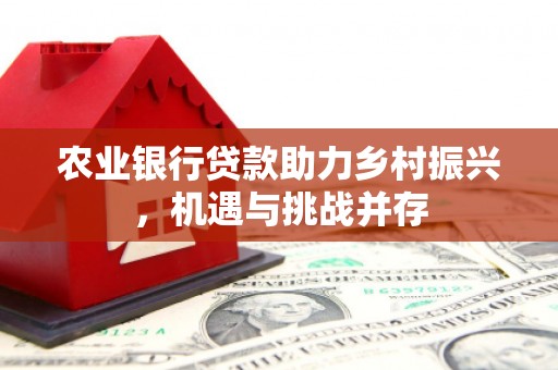 长洲农业银行贷款助力乡村振兴，机遇与挑战并存