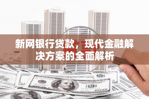 长洲新网银行贷款，现代金融解决方案的全面解析
