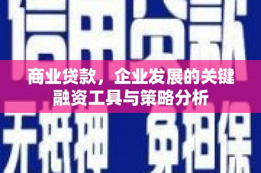 长洲商业贷款，企业发展的关键融资工具与策略分析