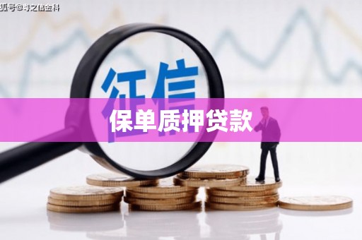 长洲保单质押贷款