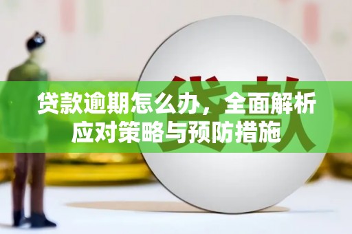 长洲贷款逾期怎么办，全面解析应对策略与预防措施