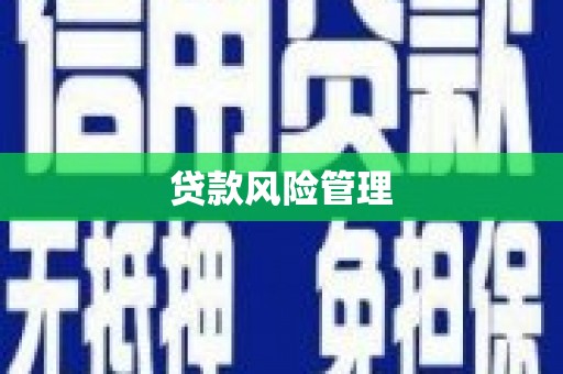 长洲贷款风险管理