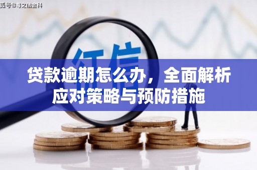 长洲贷款逾期怎么办，全面解析应对策略与预防措施