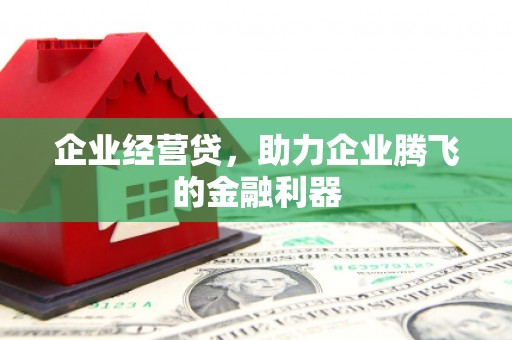 长洲企业经营贷，助力企业腾飞的金融利器