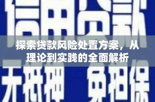 长洲探索贷款风险处置方案，从理论到实践的全面解析
